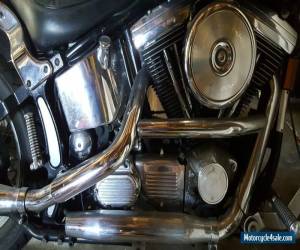 Harley Davidson 1992 Custom Softtail for Sale