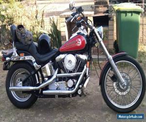 Motorcycle Harley Davidson 1992 Custom Softtail for Sale