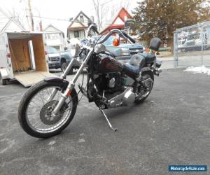 Motorcycle 1988 Harley-Davidson Softail for Sale