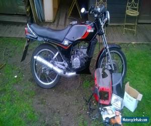 Yamaha 1984 rd125lc barn garage find custom motorcycle for Sale