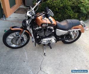 Motorcycle 2008 Harley-Davidson Sportster for Sale