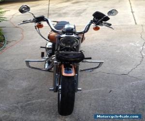 Motorcycle 2008 Harley-Davidson Sportster for Sale