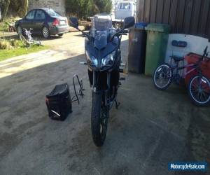 Motorcycle 2009 YAMAHA FZ1S GREY for Sale