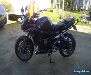 Motorcycle 2009 YAMAHA FZ1S GREY for Sale