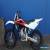 HUSQVARNA WR250 2 STROKE 2009 MODEL ENDURO for Sale