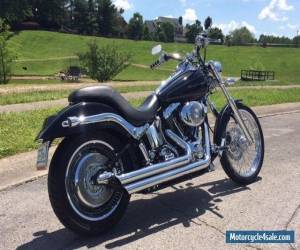 Motorcycle 2005 Harley-Davidson Softail for Sale