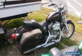 2007 Harley-Davidson Sportster for Sale