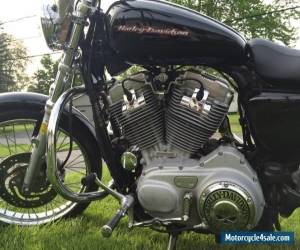 Motorcycle 2004 Harley-Davidson Sportster for Sale