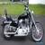 2004 Harley-Davidson Sportster for Sale