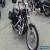 2005 Harley-Davidson Sportster for Sale