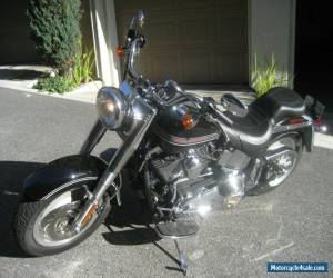 Motorcycle 2004 Harley-Davidson Softail for Sale