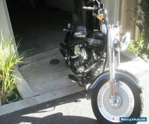 Motorcycle 2004 Harley-Davidson Softail for Sale