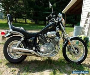 Motorcycle 1984 Yamaha Virago for Sale