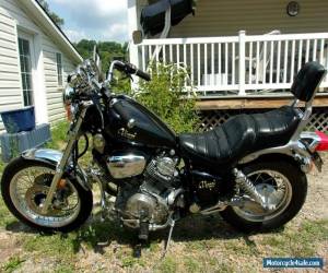 Motorcycle 1984 Yamaha Virago for Sale