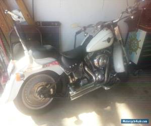 Motorcycle 2000 Harley-Davidson Softail for Sale