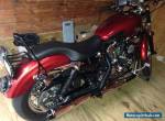 2008 Harley-Davidson Sportster for Sale