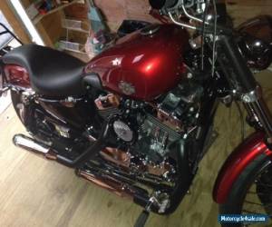 Motorcycle 2008 Harley-Davidson Sportster for Sale