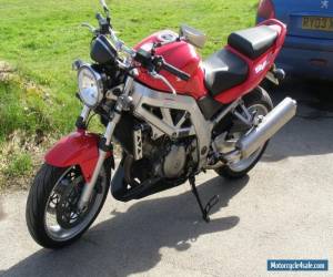 Motorcycle Suzuki SV1000K4 for Sale