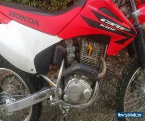 Motorcycle 2002 HONDA CRF 230 for Sale