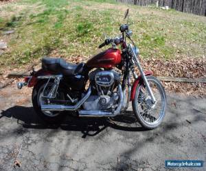 Motorcycle 2006 Harley-Davidson Sportster for Sale