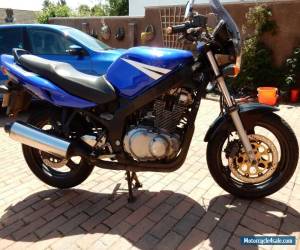 Motorcycle Suzuki GS500K4 2005 Blue  . winter project Spares repairs for Sale