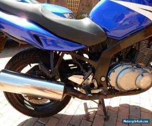 Motorcycle Suzuki GS500K4 2005 Blue  . winter project Spares repairs for Sale