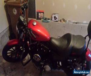 Motorcycle 2013 Harley-Davidson Sportster for Sale