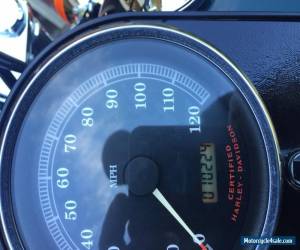 Motorcycle 2001 Harley-Davidson Softail for Sale