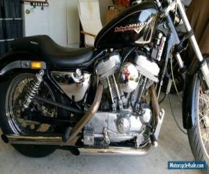 Motorcycle Harley Davidson 883 for Sale