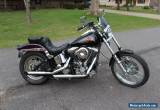 1986 Harley-Davidson Softail for Sale