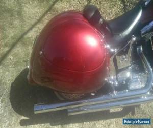 Motorcycle 1991 Harley-Davidson Softail for Sale