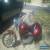 1991 Harley-Davidson Softail for Sale