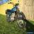 Suzuki T 500 1975  for Sale