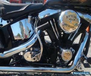 Motorcycle HARLEY DAVIDSON HERITAGE SOFTAIL 1985 SUIT CLUB REG OR FULL REG VALUE @ $11990 for Sale