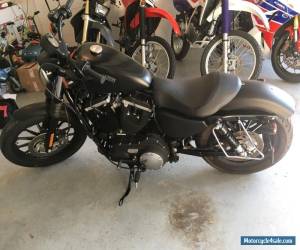 Motorcycle 2012 Harley-Davidson Sportster for Sale