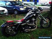 2010 Harley-Davidson Other