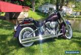 2007 Harley-Davidson Softail for Sale