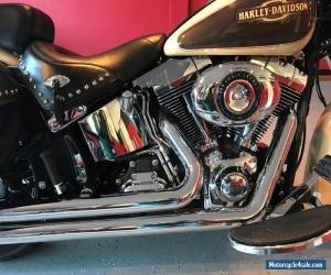 Motorcycle 2014 Harley-Davidson Softail for Sale