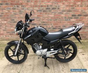 Motorcycle YAMAHA YBR 125 2011 11reg BLACK 12 MONTHS MOT CBF CBR YZF CG  for Sale