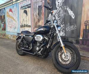 Motorcycle harley davidson MY13 Sportster XL1200 Custom  for Sale