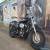 harley davidson MY13 Sportster XL1200 Custom  for Sale