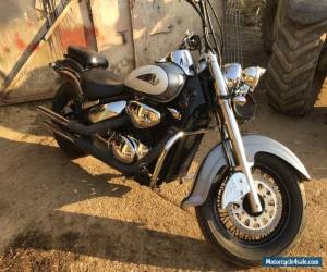 Motorcycle SUZUKI VL 800 K3 INTRUDER VOLUSIA  2003 CRUISER CUSTOM BOBBER CHOPPER for Sale