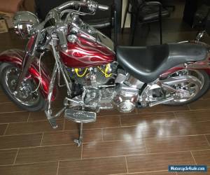 2002 Harley-Davidson Softail for Sale