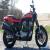 2009 Harley-Davidson Sportster for Sale