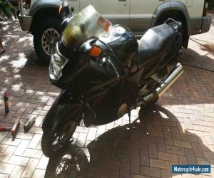 Motorcycle Honda CBR 1100 XX Super Blackbird for Sale