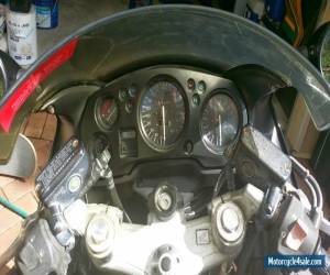 Motorcycle Honda CBR 1100 XX Super Blackbird for Sale