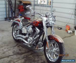 Motorcycle 2006 Harley-Davidson Softail for Sale