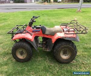 Motorcycle SUZUKI LTF 250 QUAD RUNNER CHEAP AS TRADED ATV  for Sale