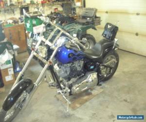 Motorcycle 1979 Harley-Davidson Softail for Sale