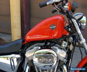 Motorcycle 2005 Harley-Davidson Sportster for Sale